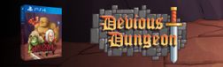 Devious Dungeon